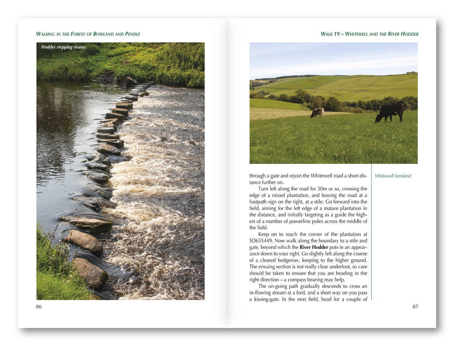 Walking in the Forest of Bowland and Pendle… | Cicerone Press