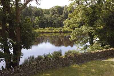 Walking in the Forest of Bowland and Pendle - Route Photos
