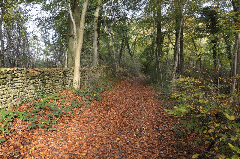 Walking in the Cotswolds - Route Photos