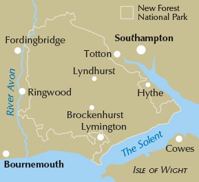 Walking in the New Forest Guidebook | Cicerone Press