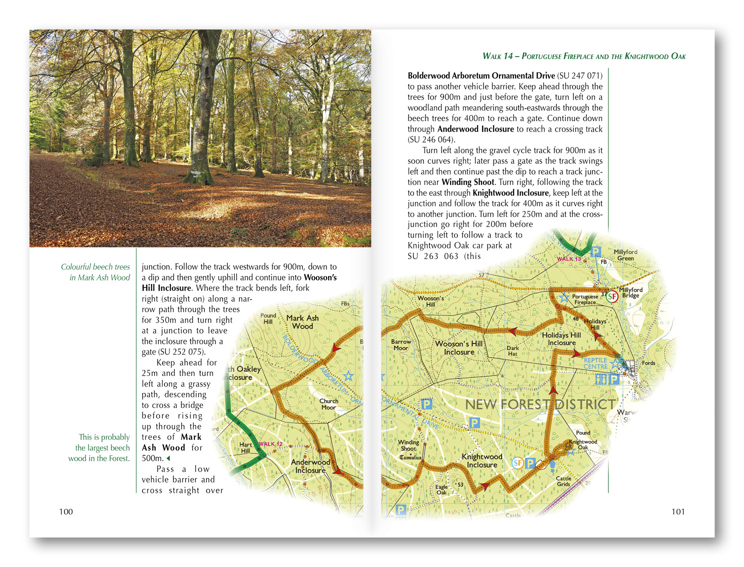Walking in the New Forest | Cicerone Guidebook | Cicerone Press