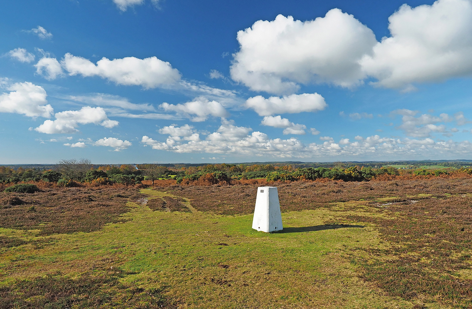Walking in the New Forest | Cicerone Guidebook | Cicerone Press