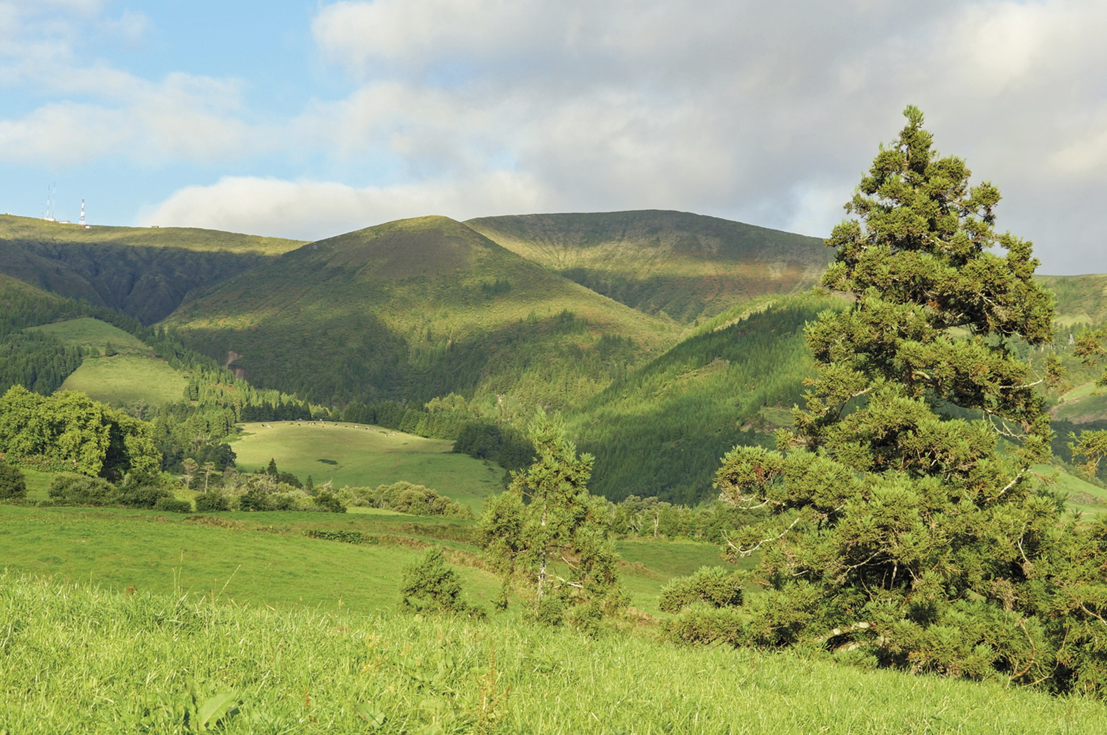 Azores walking guidebook - 70 routes on all nine… | Cicerone Press
