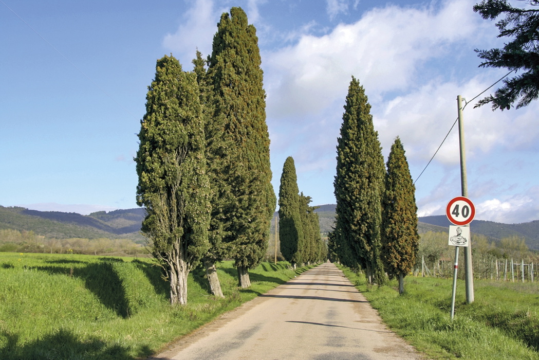 Walking in Umbria - Route Photos