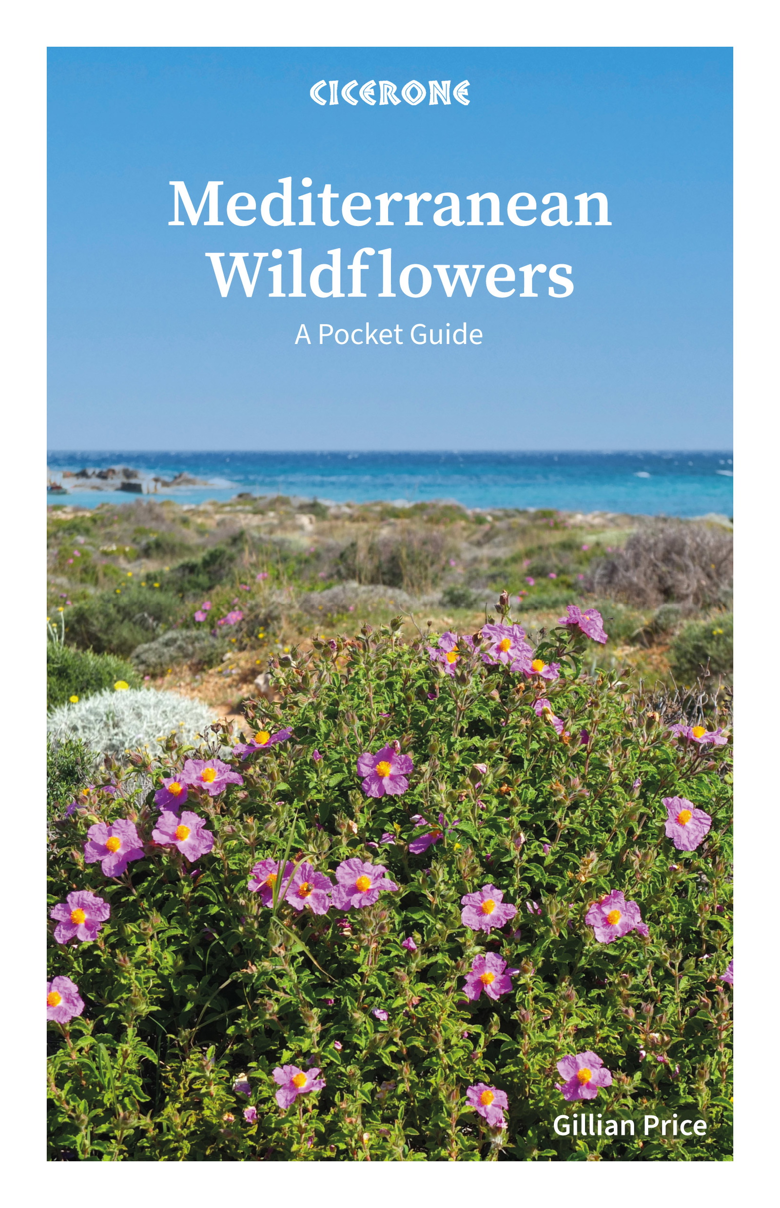 Mediterranean Wildflowers - Front Cover