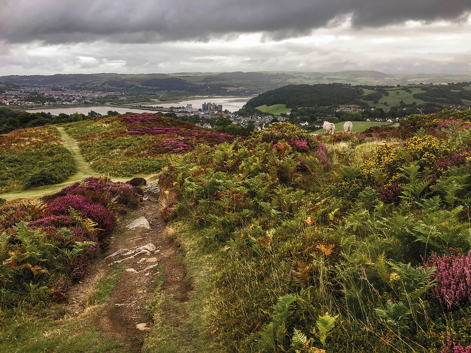 The Cambrian Way Guidebook – Cardiff to Conwy Wales… | Cicerone Press