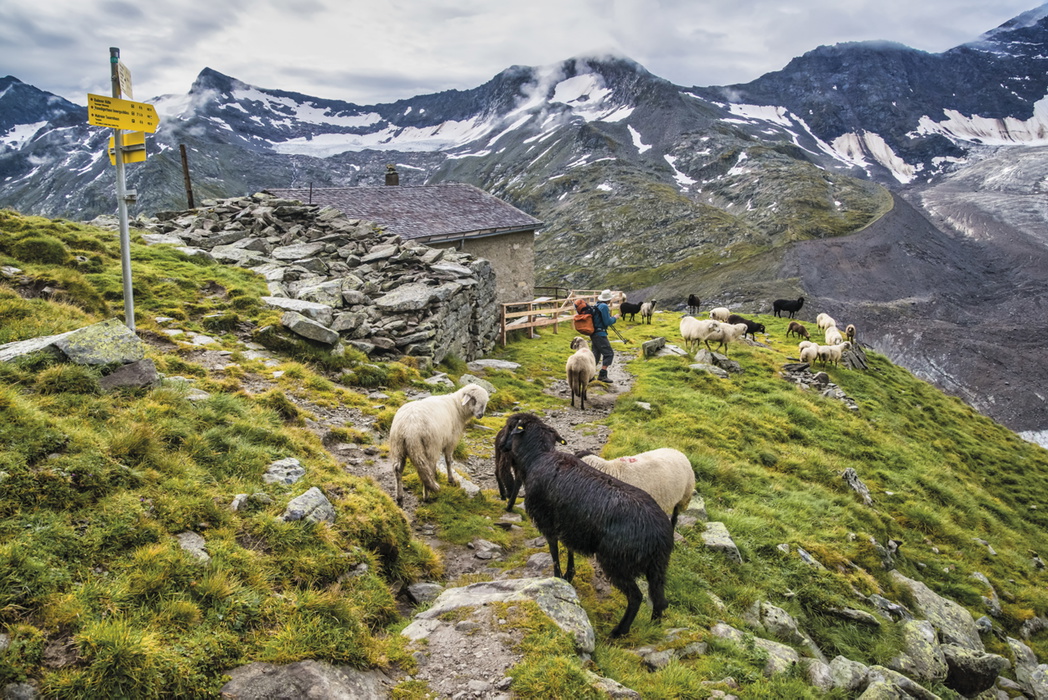 Trekking in Austria's Hohe Tauern - Route Photos