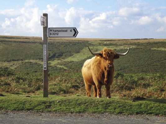 Walking the Dartmoor Way - Route Photos