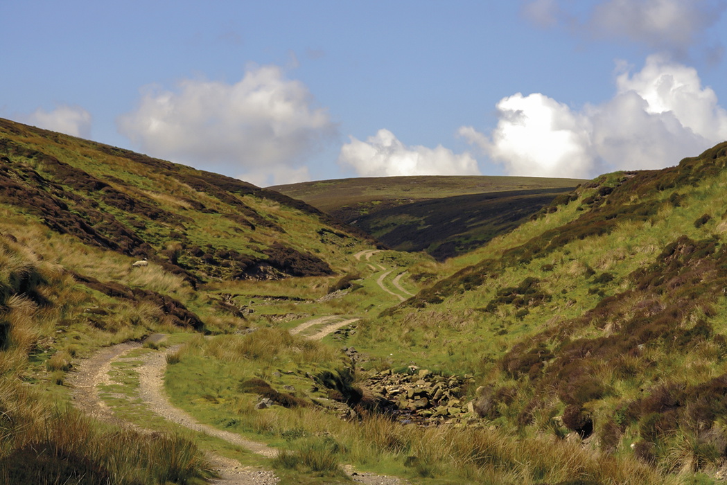Walking in County Durham - Route Photos
