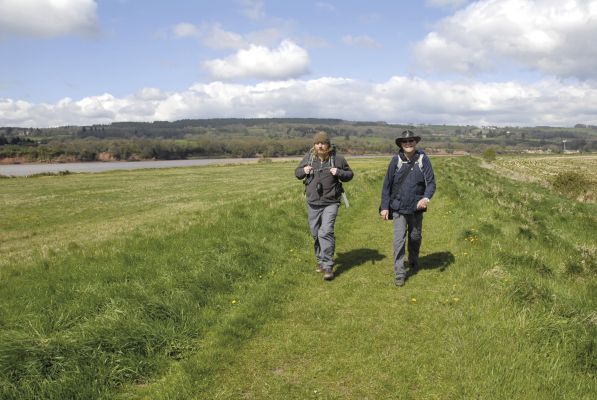 Walking the embankment, near Fretherne (Stage 19)