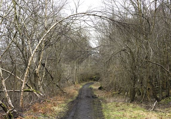 Walking St Oswald's Way and Northumberland Coast Path - Route Photos