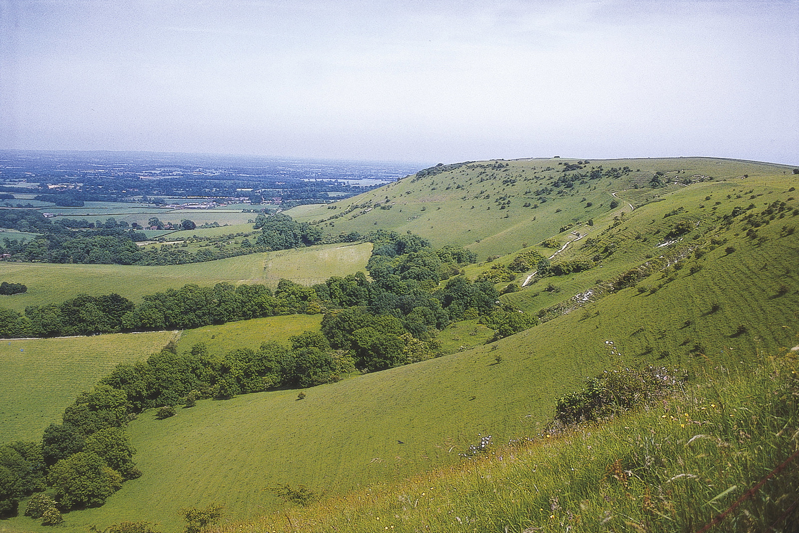 South Downs Way | National Trail Guidebook | OS maps | Cicerone Press