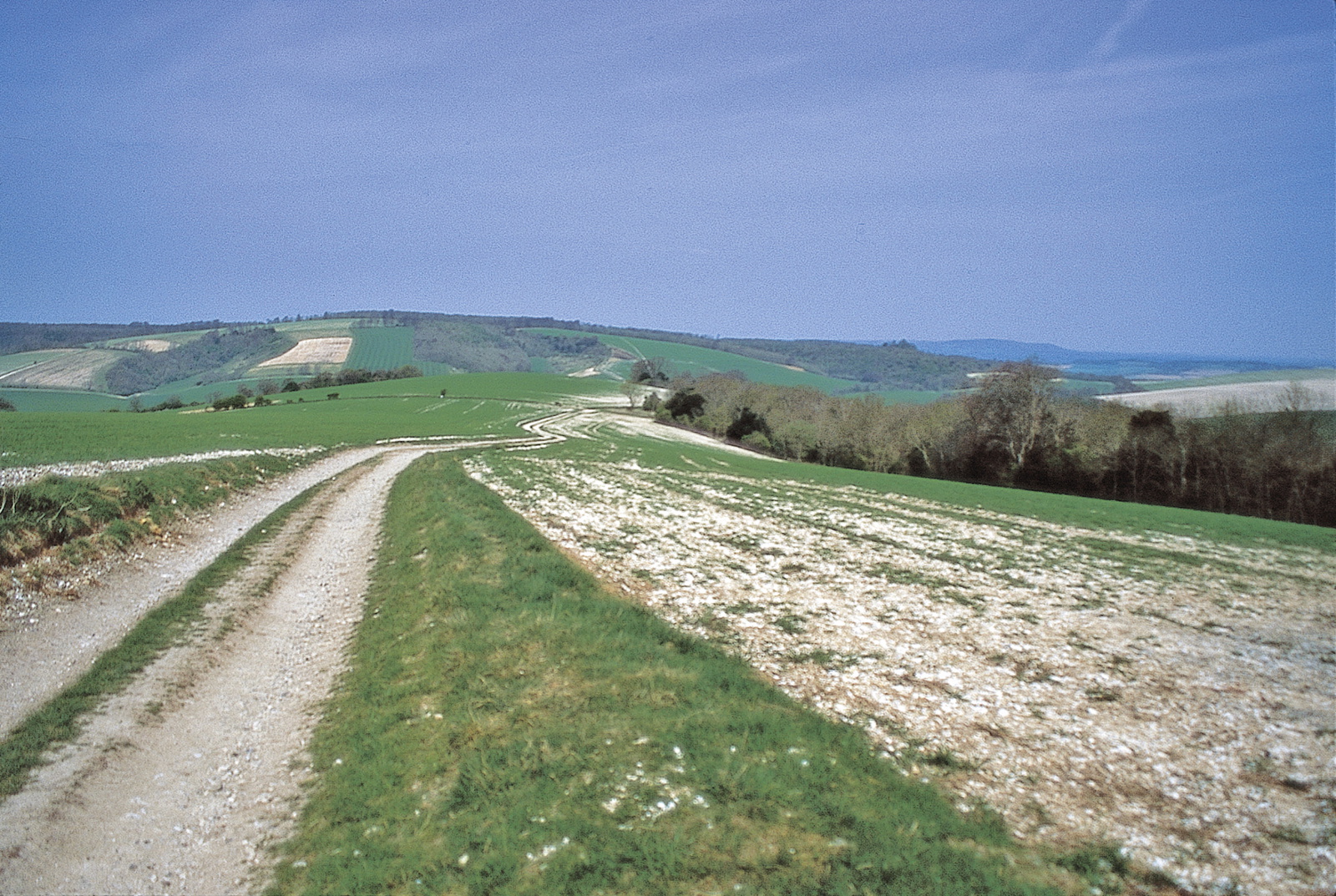 South Downs Way | National Trail Guidebook | OS maps | Cicerone Press