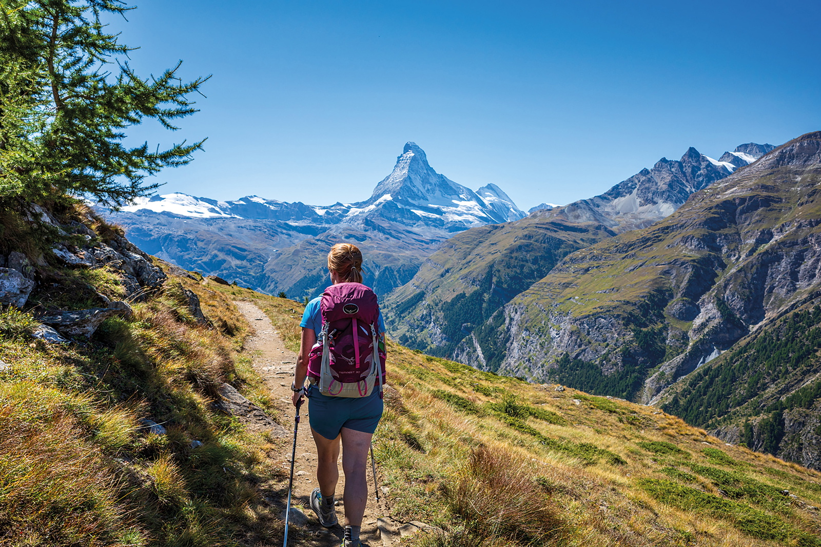 Guidebook | Hiking the Tour of Monte Rosa | Cicerone Press