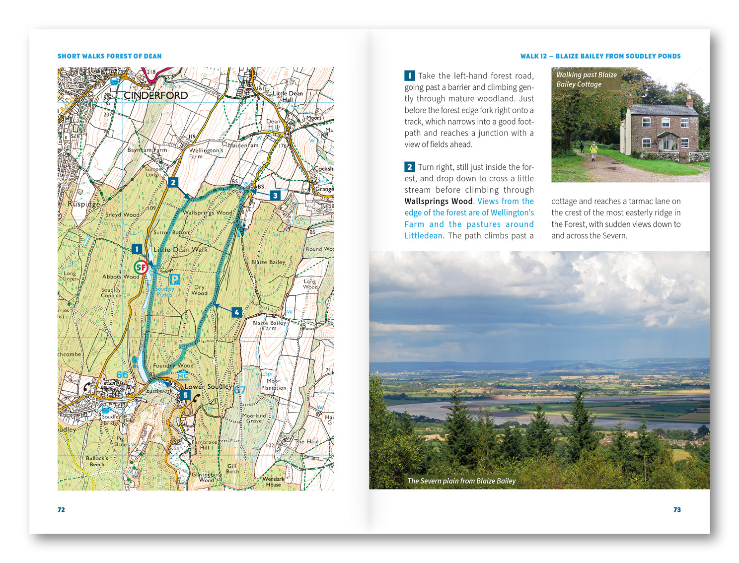 15 Short Walks in the Forest of Dean | Cicerone Press