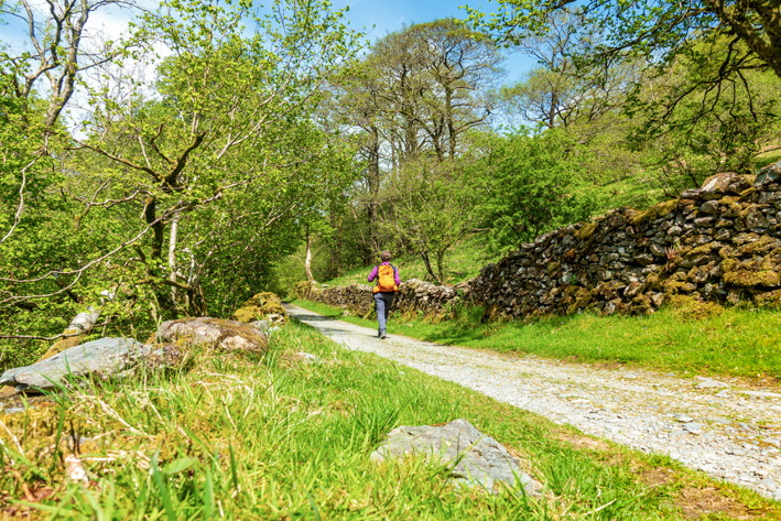 Approaching High Sweden Bridge
