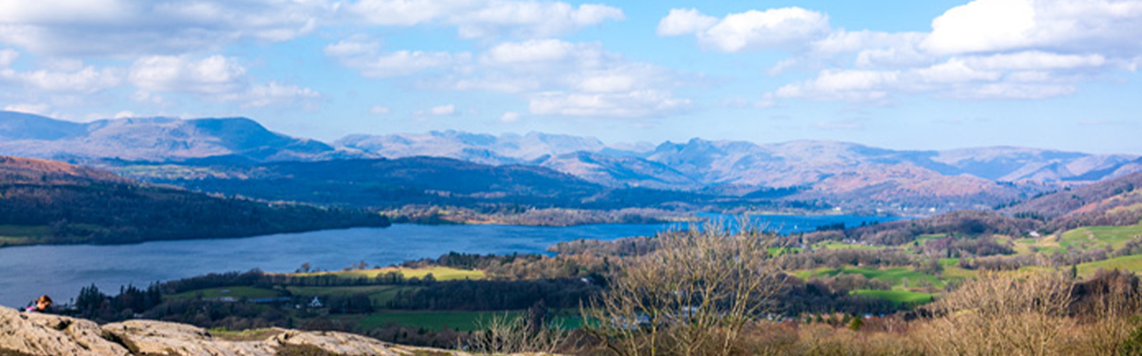 Article Header Image