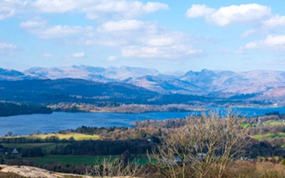 Article Header Image