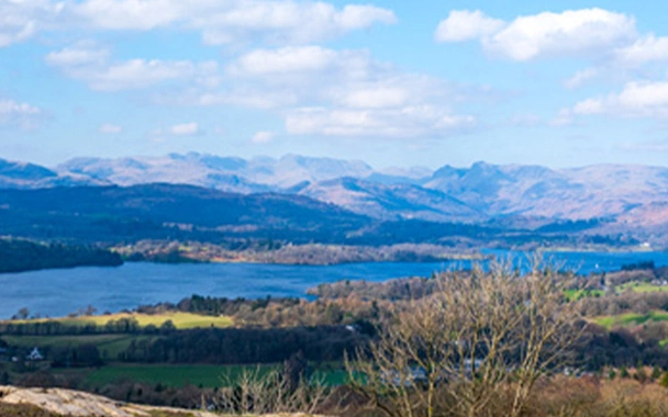 Article Header Image