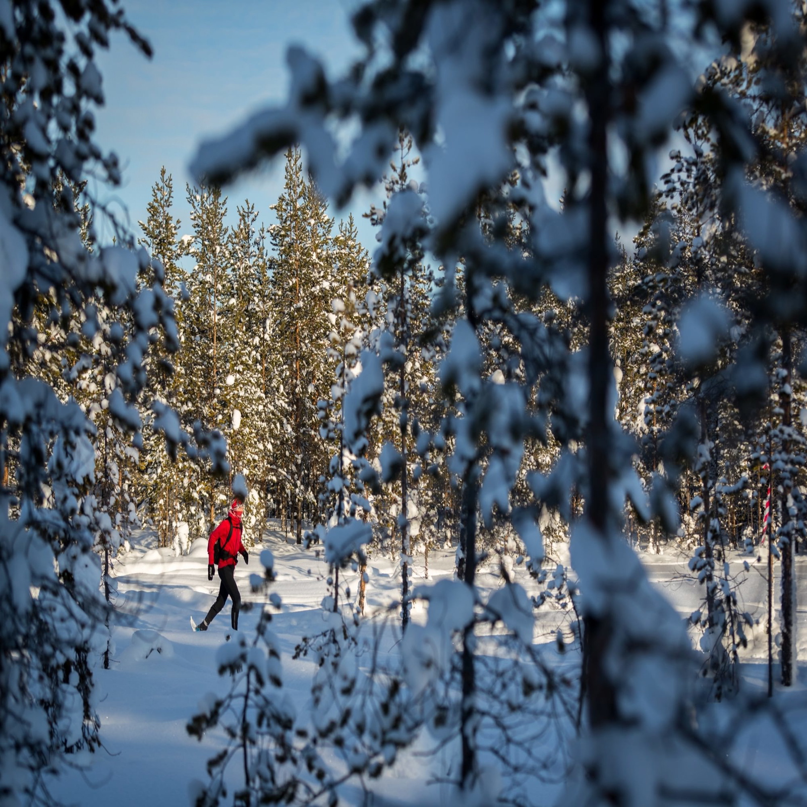 Ice Ultra 18 Yeti Nordisk 2 (Mikkel Beisner)