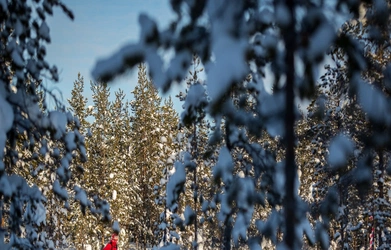 Ice Ultra 18 Yeti Nordisk 2 (Mikkel Beisner)