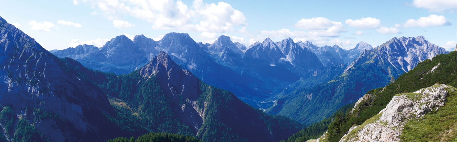 Article Header Image