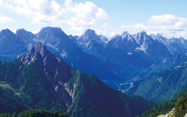 Article Header Image