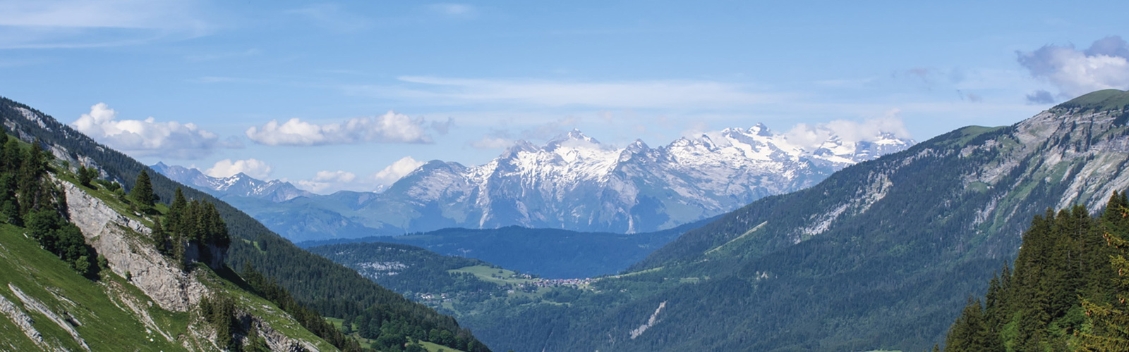 Article Header Image