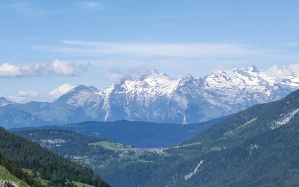 Article Header Image