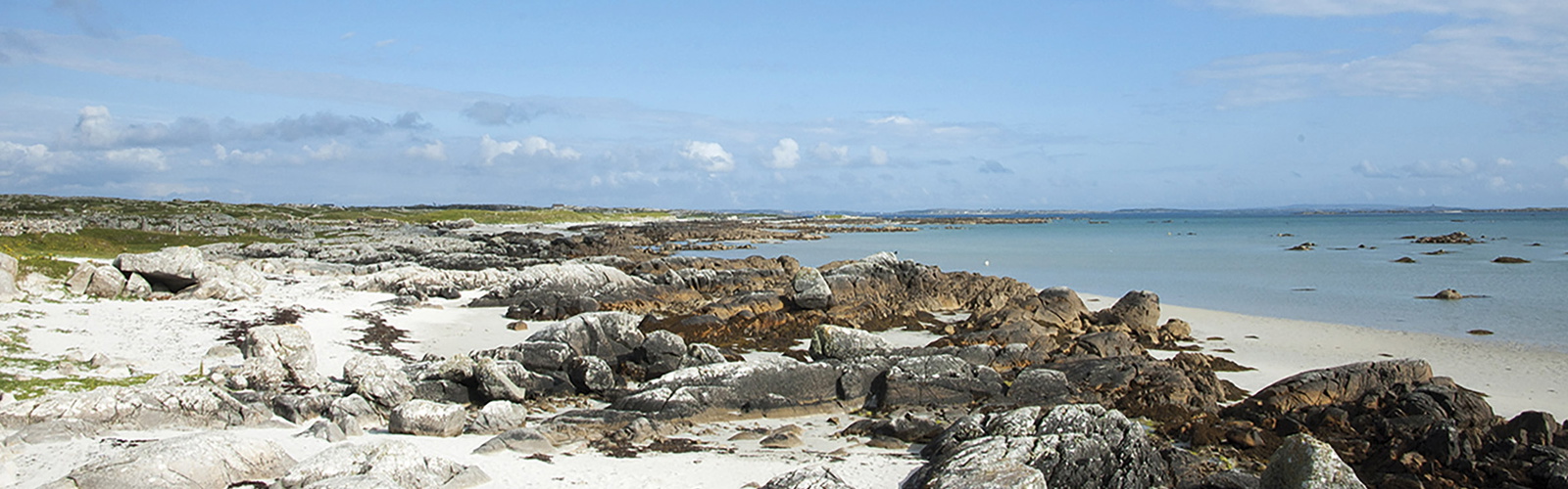 Article Header Image