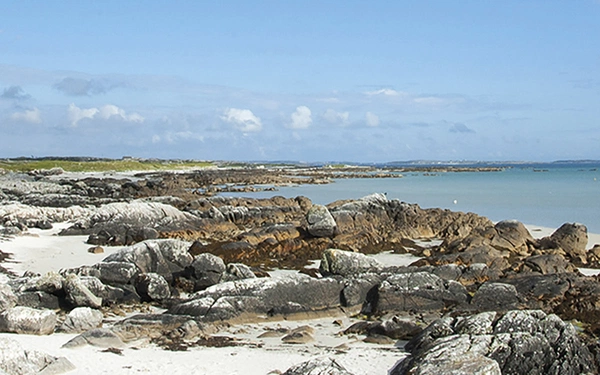 Article Header Image