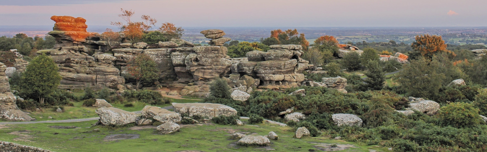 article-header-image-nidderdale