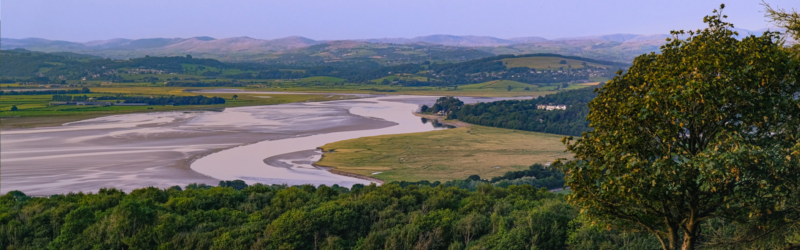 Looking north up the Kent estuary