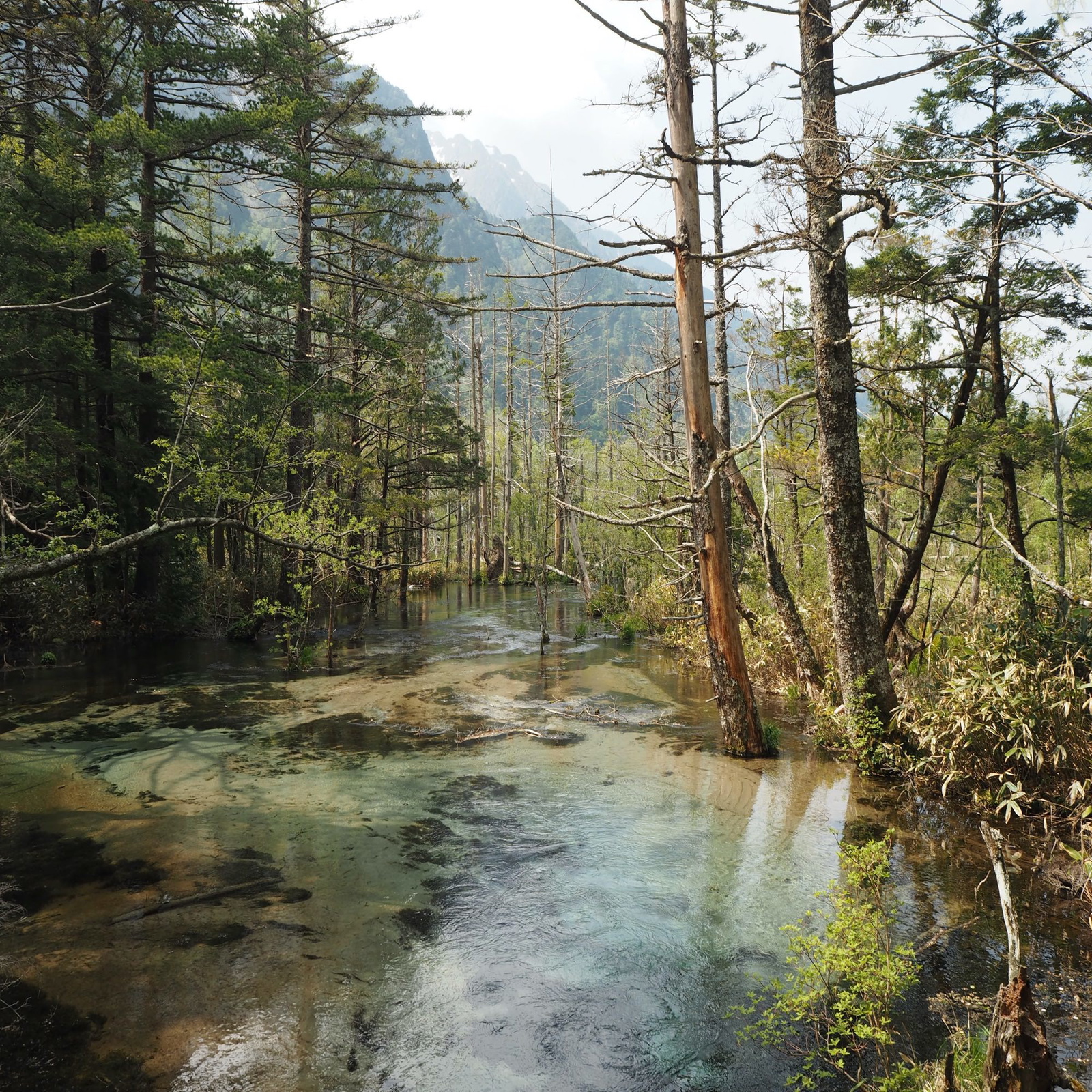 J7 Pristine wetlands around Kamikōchi