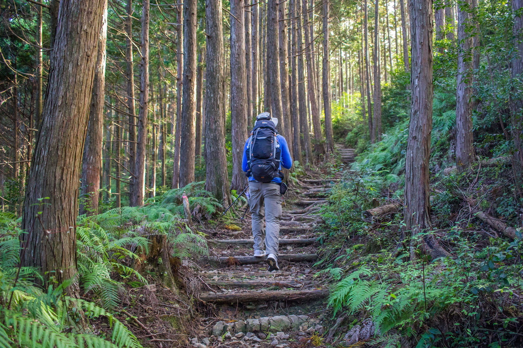A hiker on the Kumano Kodo trail near Daimon-oji