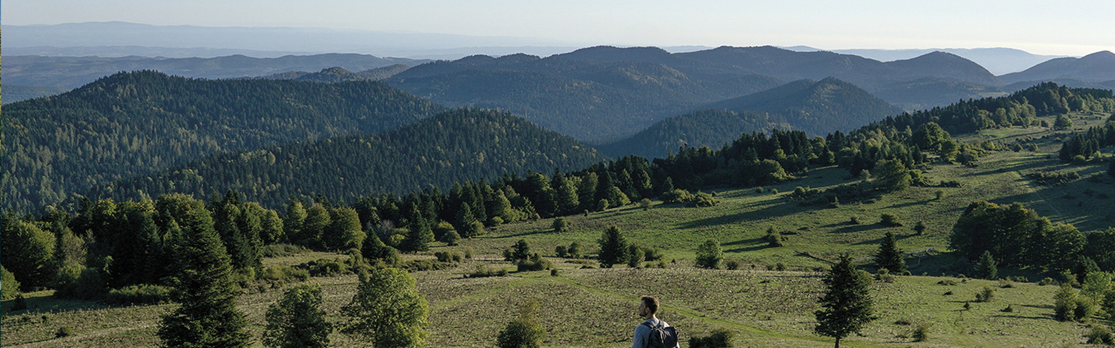 Article Header Image