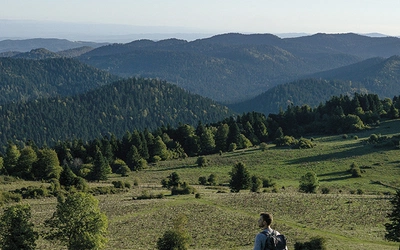 Article Header Image