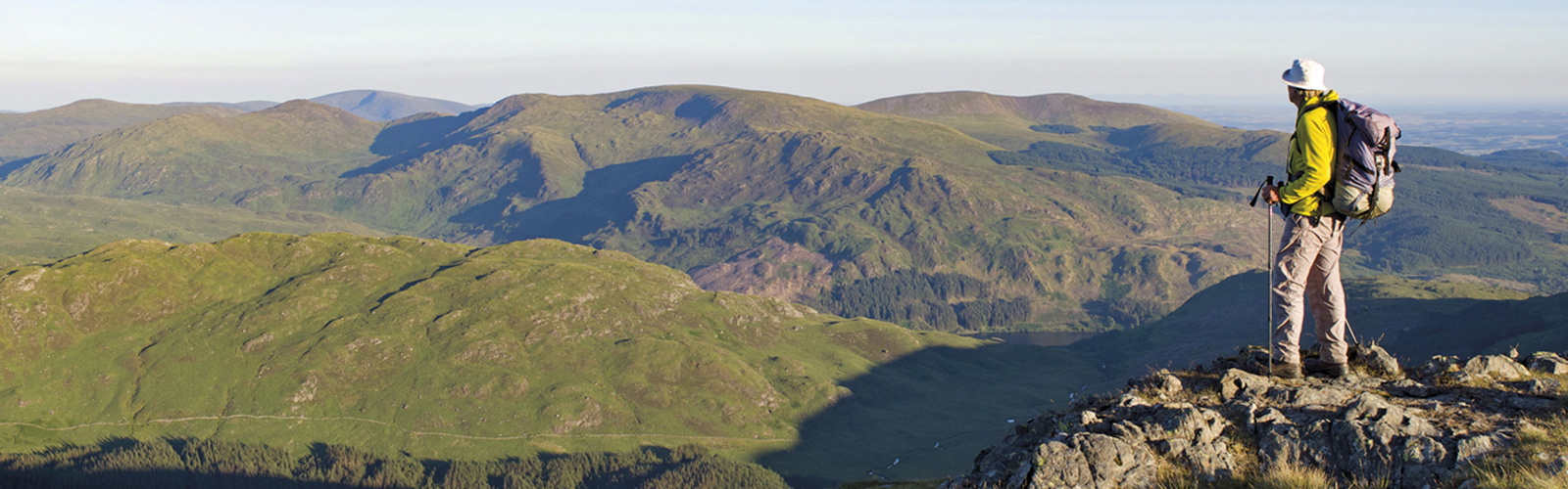 Article Header Image