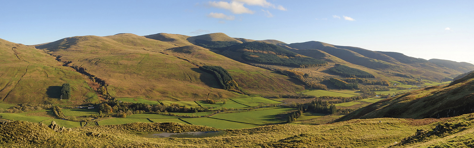 Article Header Image