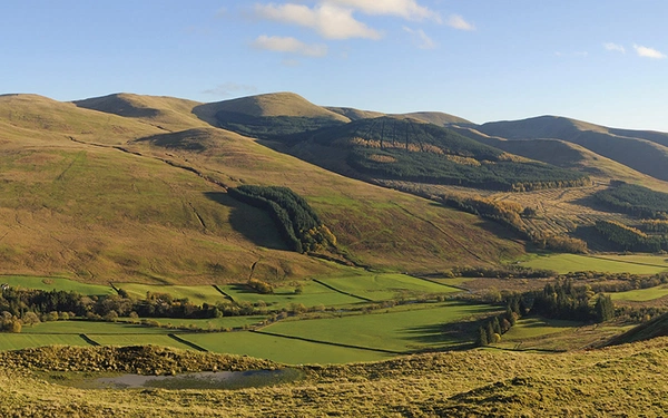 Article Header Image