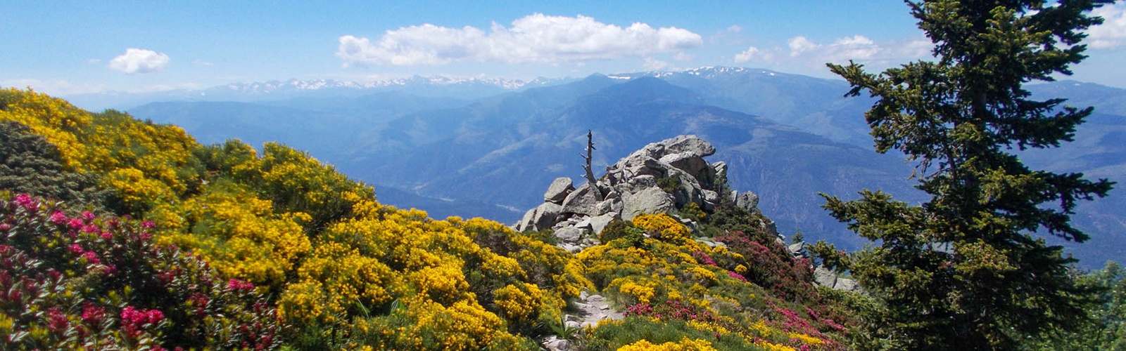 Trekking in a Pyrenean wonderland