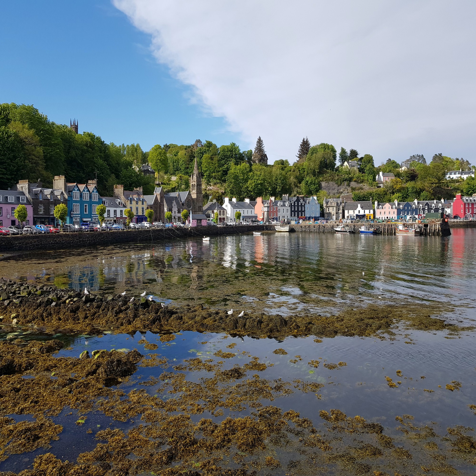 Tobermory, Mull's main town