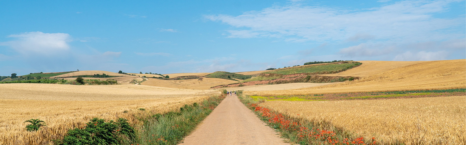 Pilgrim trails
