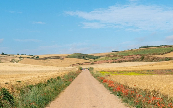 Pilgrim trails