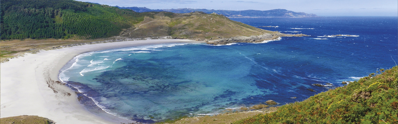 Article Header Image