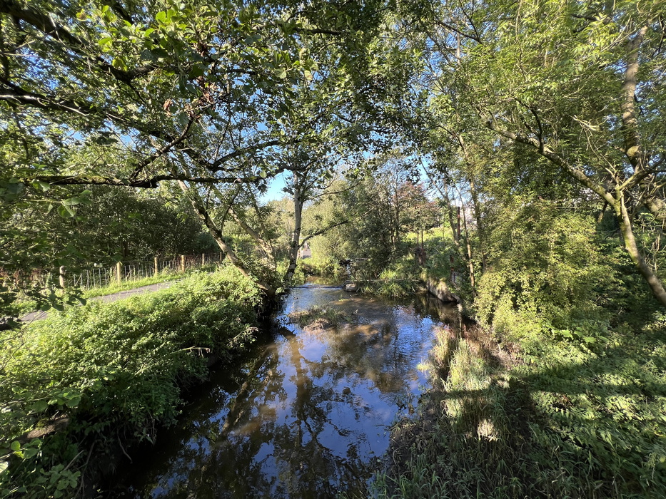 Primrose Commun​​​​​​​ity Nature Reserve