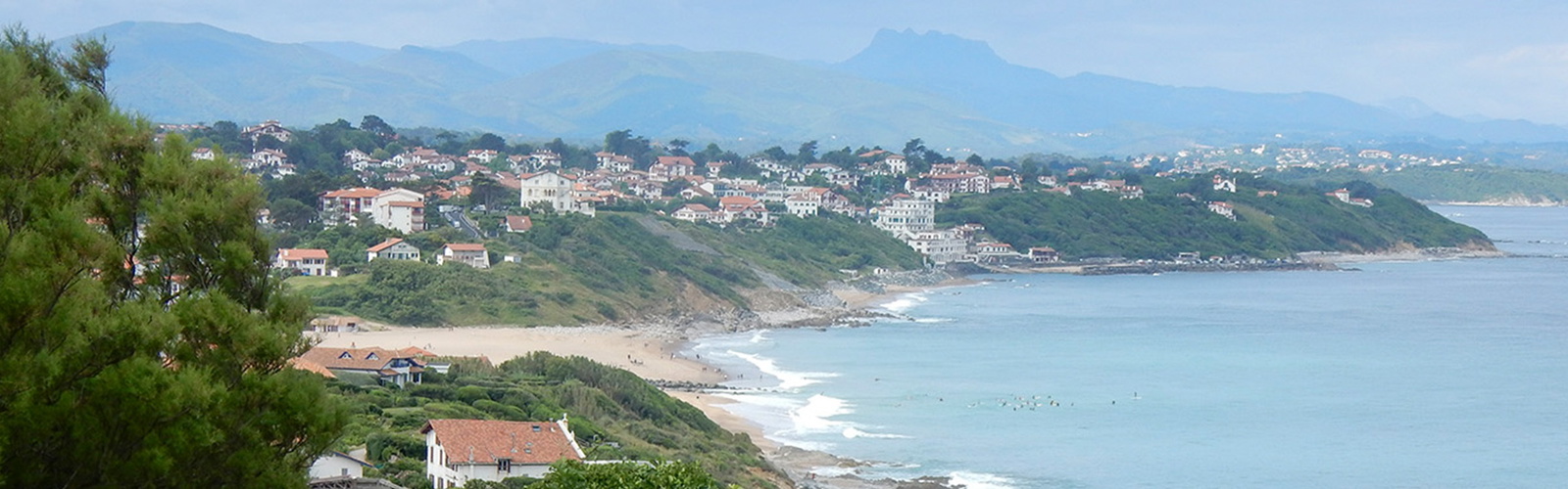 Article Header Image