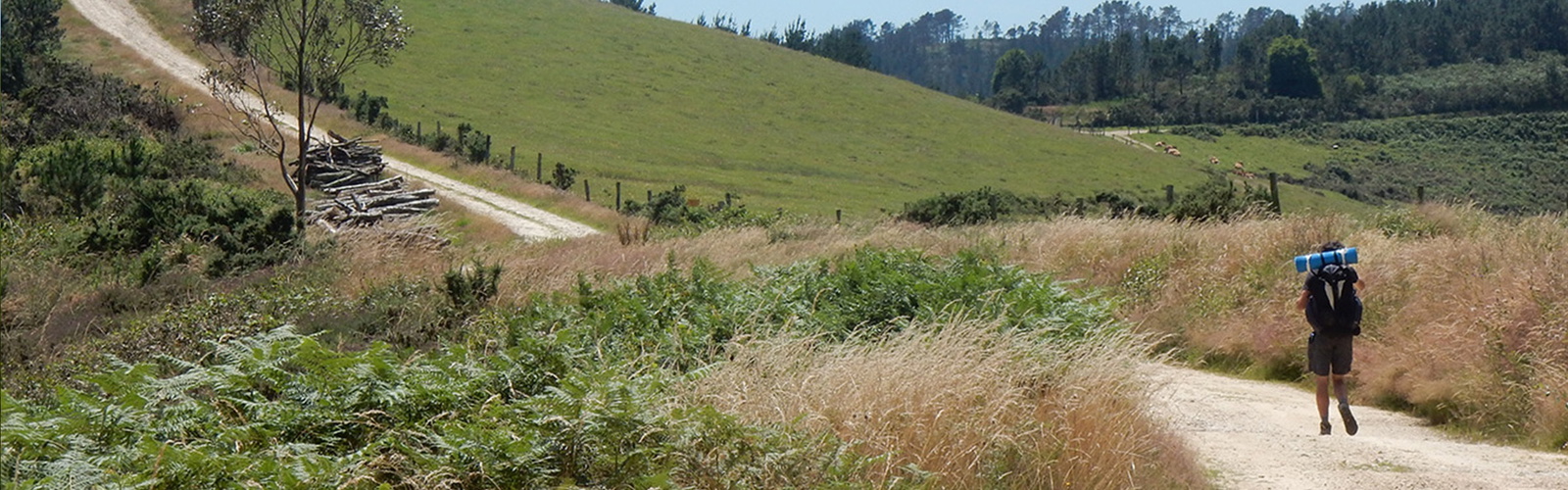 A pilgrim on the Camino del Norte (Spain)