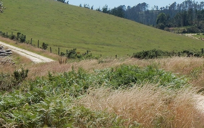 A pilgrim on the Camino del Norte (Spain)