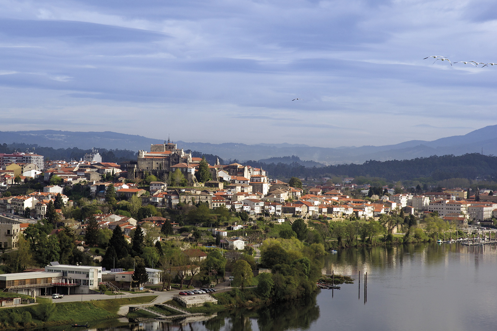 The Camino Portugués (Portuguese Way)